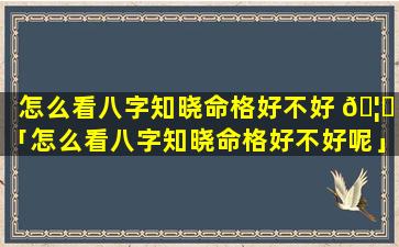 怎么看八字知晓命格好不好 🦆 「怎么看八字知晓命格好不好呢」